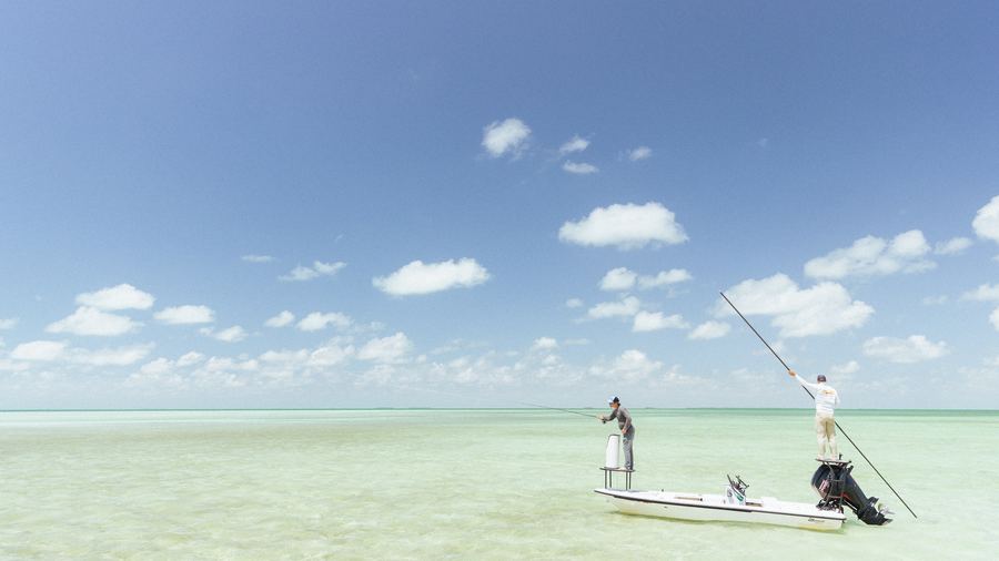 Inshore quiver on a skiff, Florida water behind