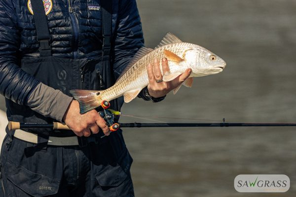 BCS3 Inshore rod